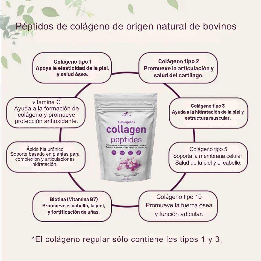 2x1 Multi Collangen Peptides Importados