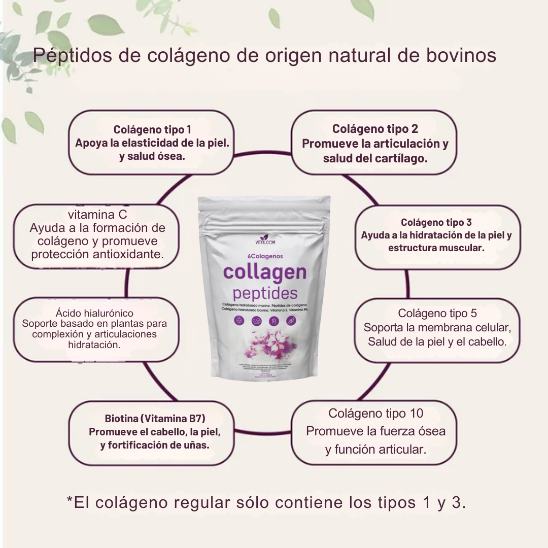 2x1 Vitalcom Collangen Peptides Importados